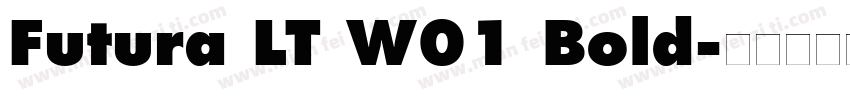 Futura LT W01 Bold字体转换